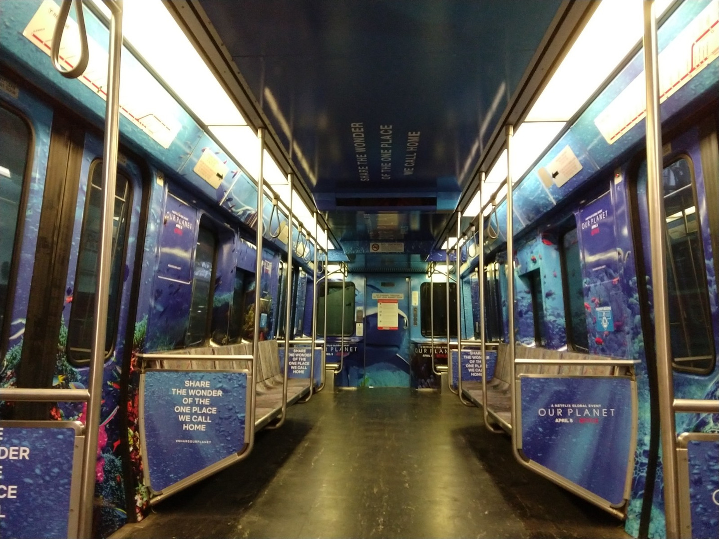 Buses, Trucks & Trains project
