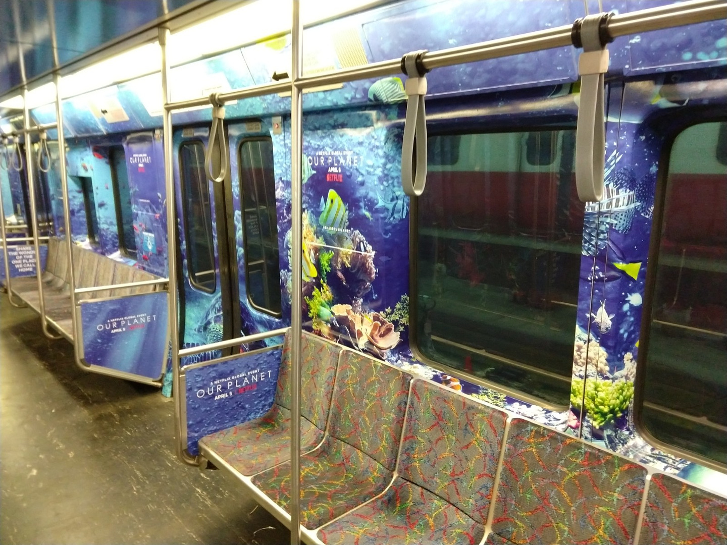 Buses, Trucks & Trains project